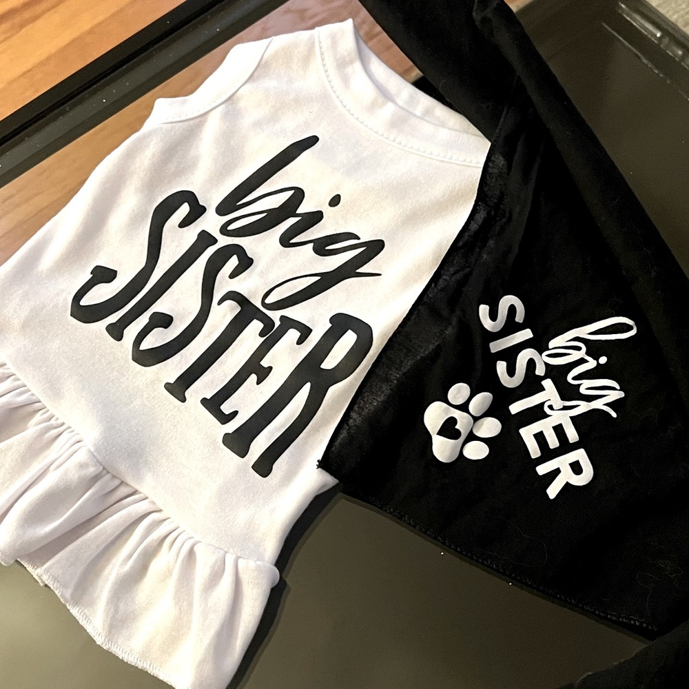 Small dog clothes big sister bundle - baby announcement